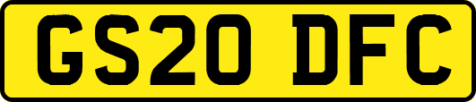GS20DFC