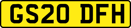 GS20DFH