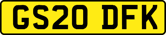 GS20DFK