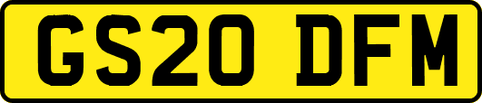GS20DFM