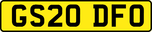GS20DFO