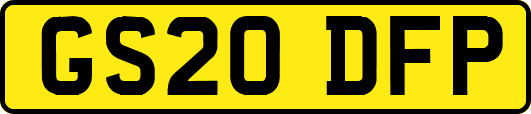 GS20DFP