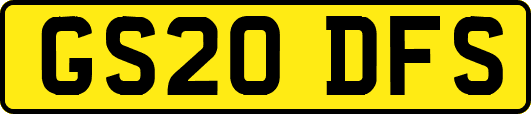 GS20DFS