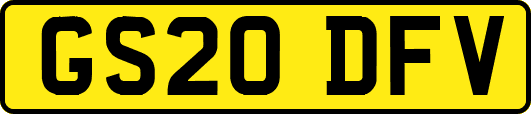 GS20DFV