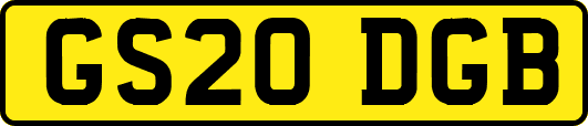 GS20DGB
