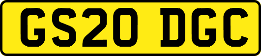 GS20DGC