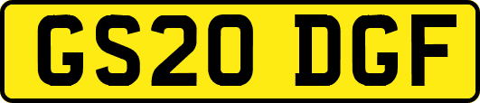 GS20DGF
