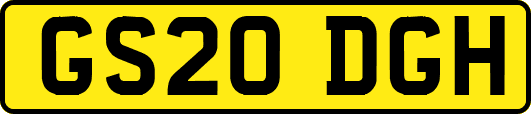 GS20DGH