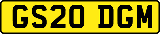 GS20DGM