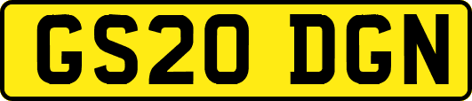 GS20DGN