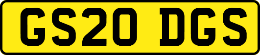 GS20DGS