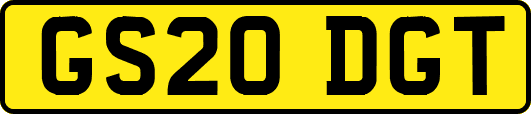 GS20DGT