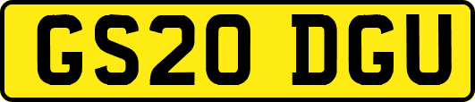 GS20DGU