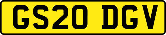 GS20DGV