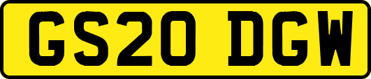 GS20DGW