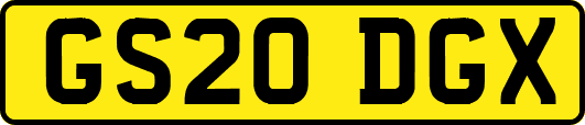 GS20DGX
