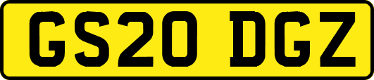 GS20DGZ