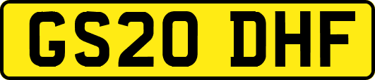 GS20DHF