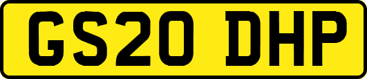 GS20DHP