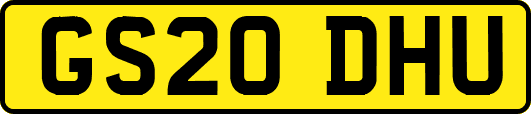 GS20DHU