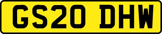 GS20DHW