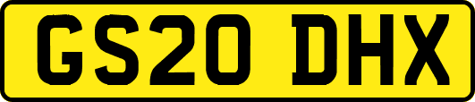 GS20DHX