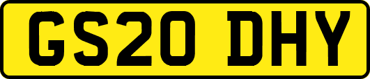 GS20DHY