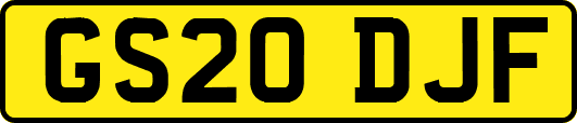 GS20DJF