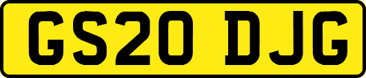 GS20DJG
