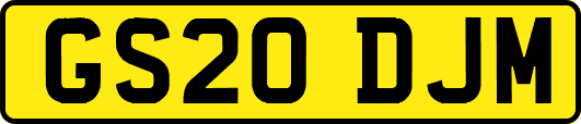 GS20DJM