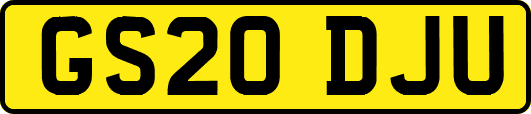 GS20DJU