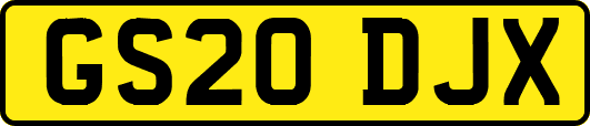 GS20DJX