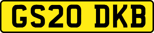 GS20DKB
