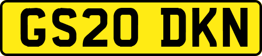 GS20DKN