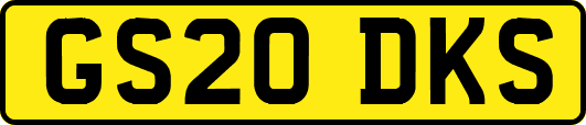 GS20DKS