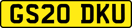 GS20DKU