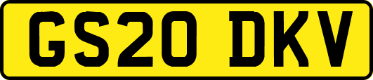 GS20DKV