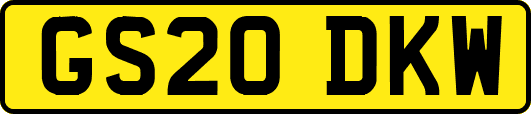 GS20DKW