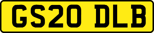 GS20DLB