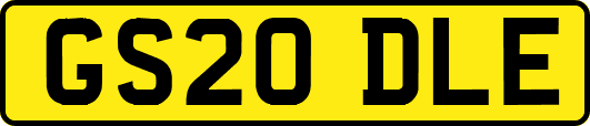 GS20DLE