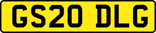 GS20DLG