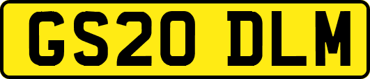GS20DLM