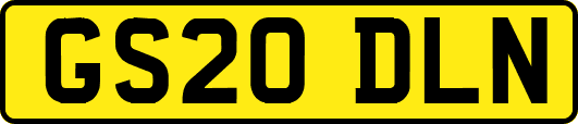 GS20DLN