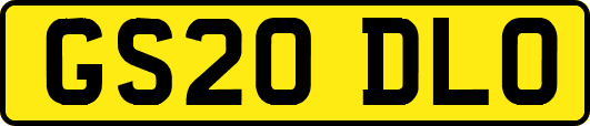 GS20DLO