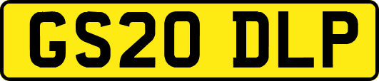 GS20DLP