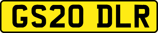 GS20DLR