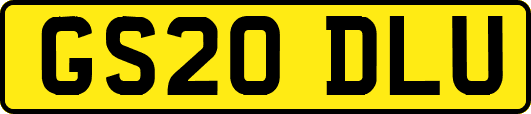 GS20DLU