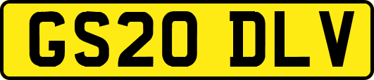 GS20DLV
