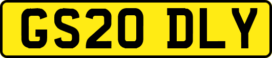 GS20DLY