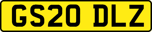 GS20DLZ